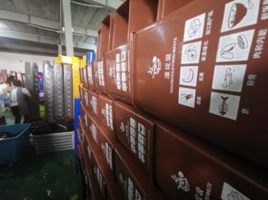 你是什么垃圾 闯出分类回收新风口