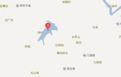 仙境啊!台州居然藏着一个水上森林,美哭了!